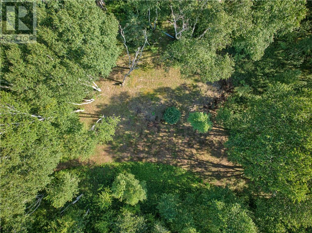 0 Highway 537 Highway Property Photo 29