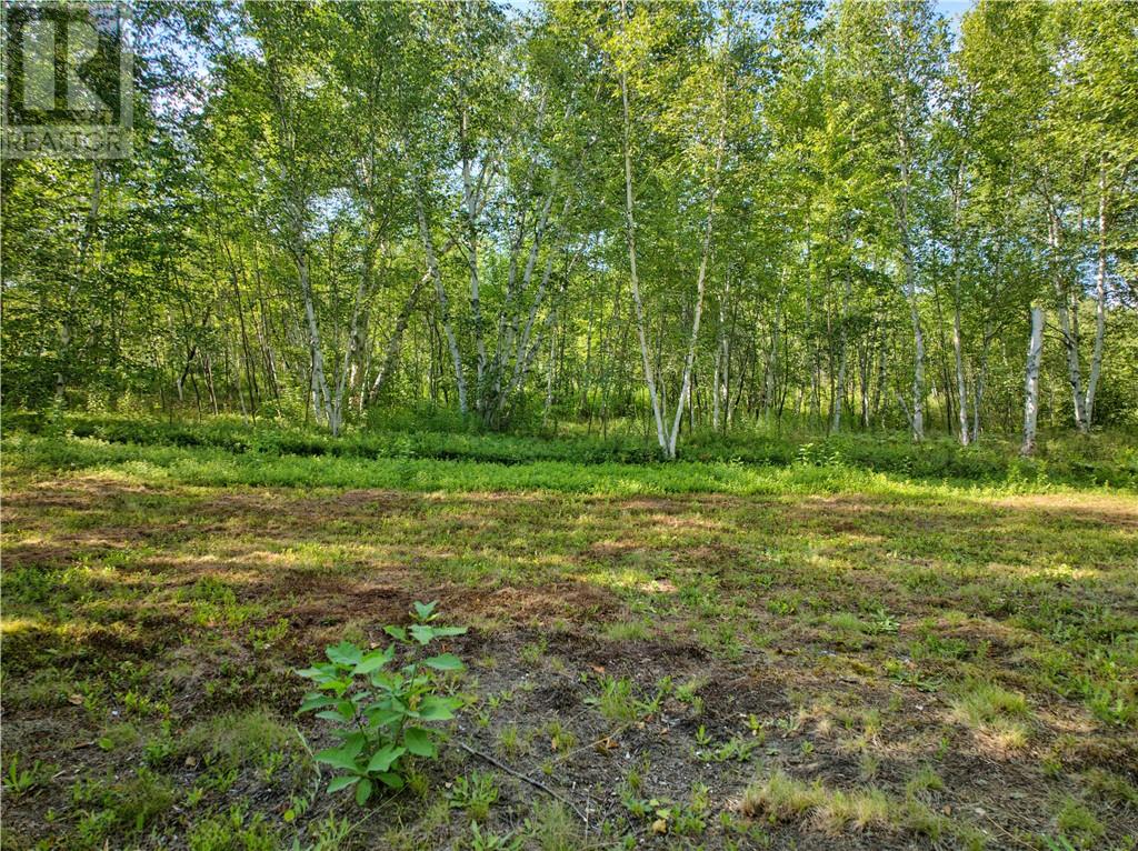 0 Highway 537 Highway Property Photo 34