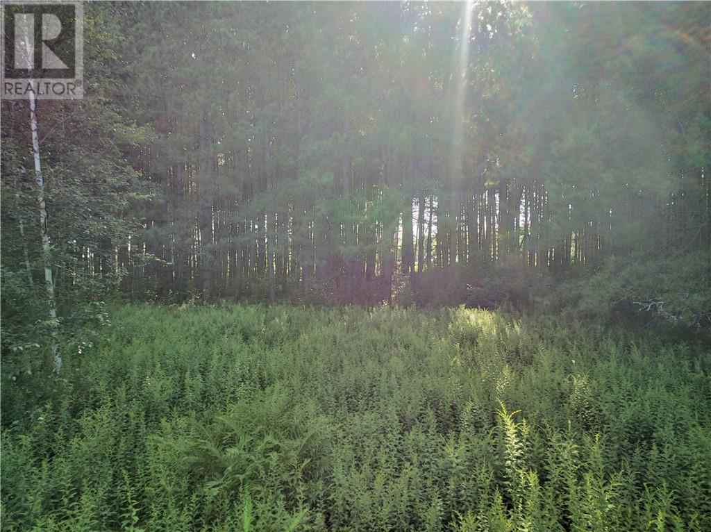 0 Highway 537 Highway Property Photo 36