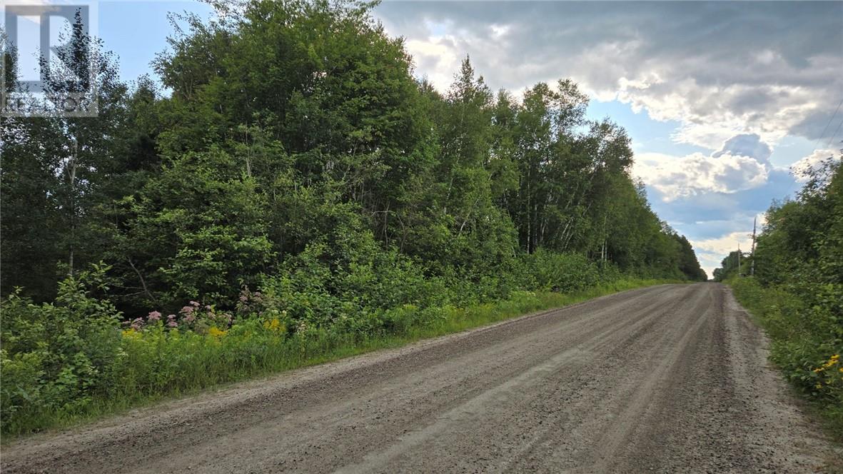 0 Blue Jay Road Property Photo 1