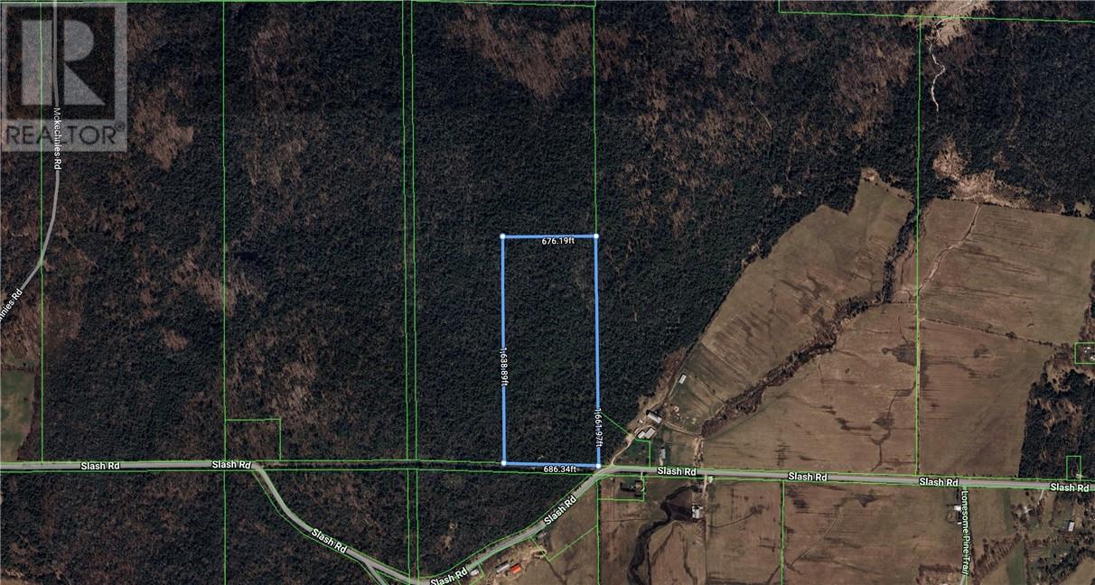 Pt Lot 6 Con 14 Slash Rd Property Photo 1