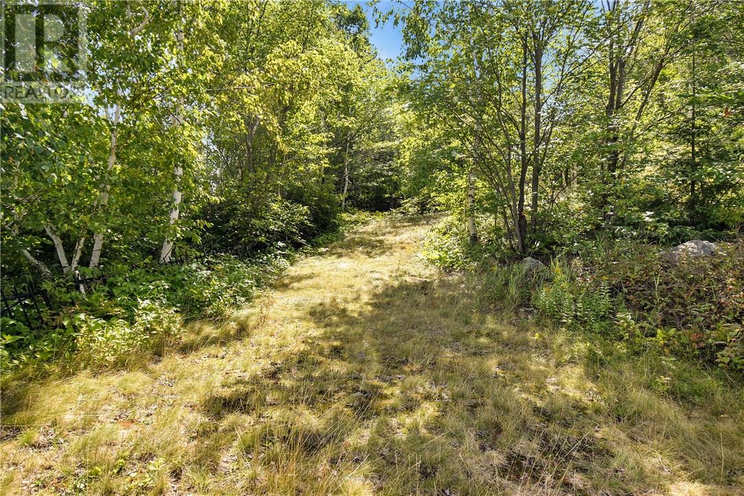 1380 Fire Route M Property Photo 54