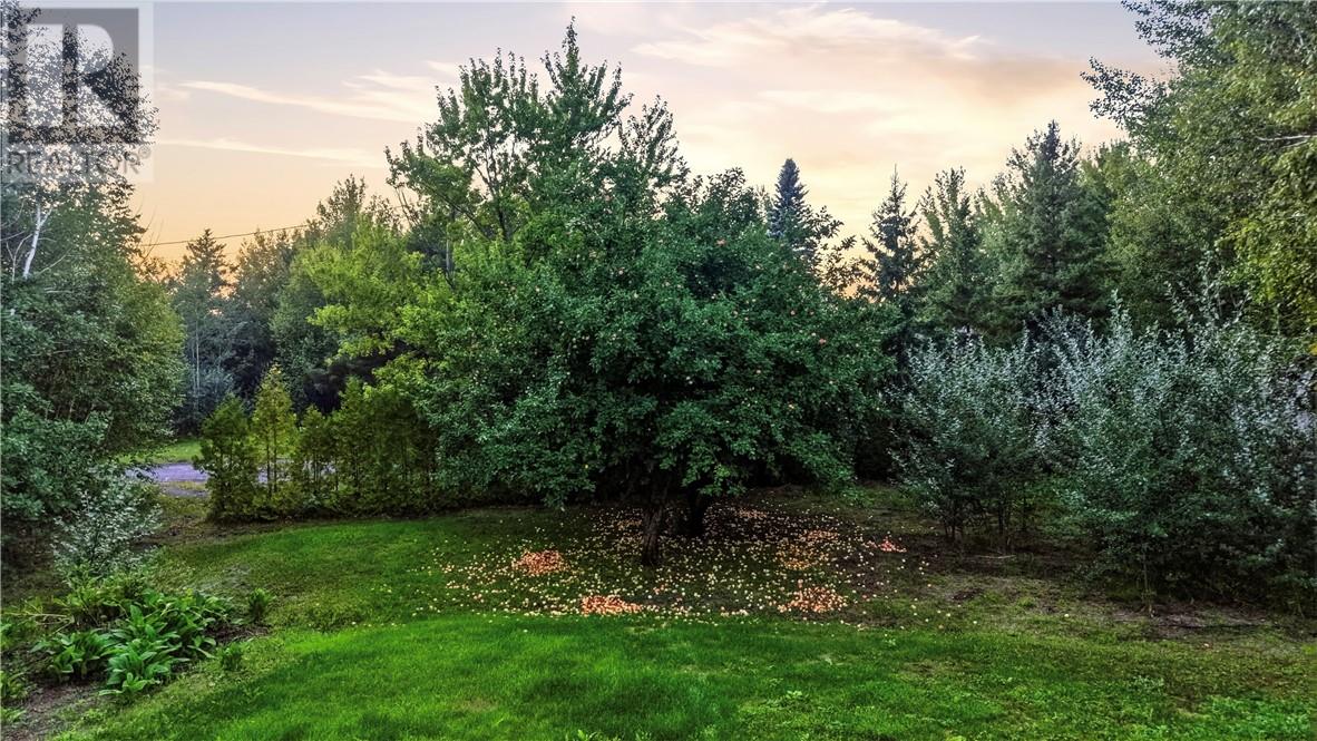 2124 Salo Road Property Photo 43