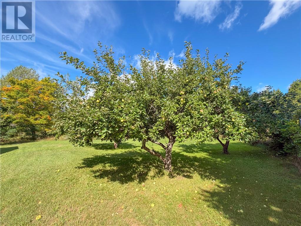 1703 Union Road Property Photo 21