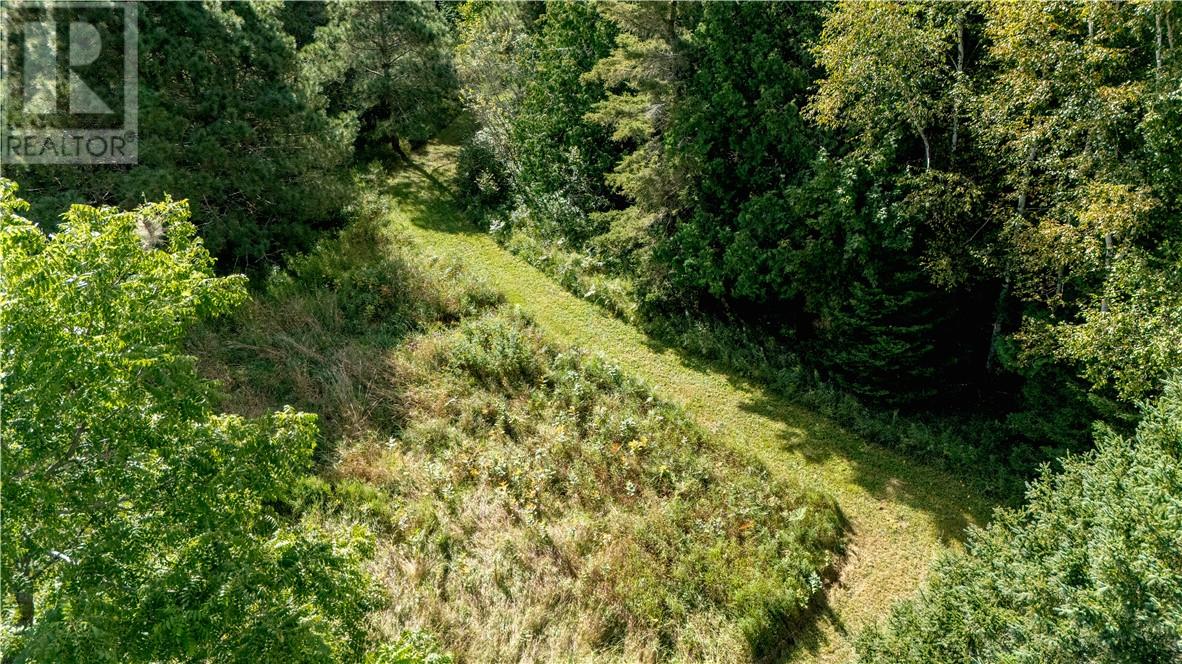 1703 Union Road Property Photo 24