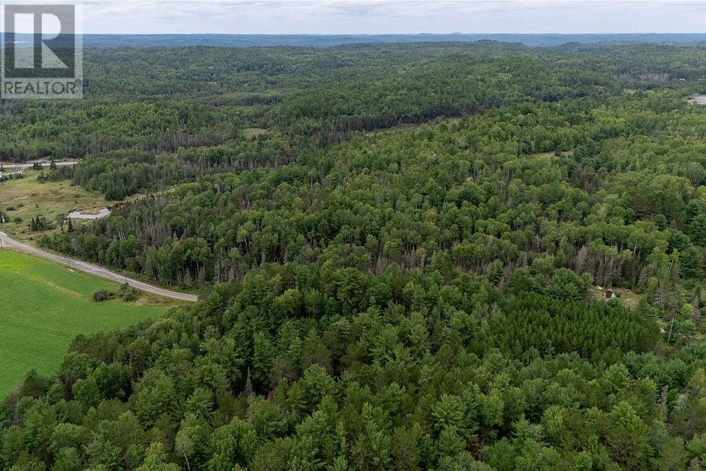 556 Lorne Falls Property Photo 3