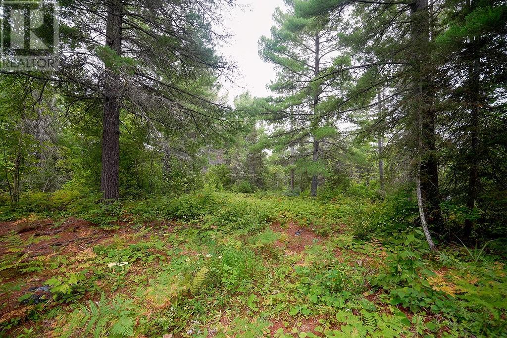 556 Lorne Falls Property Photo 4
