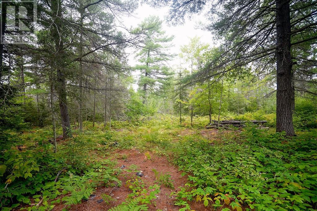 556 Lorne Falls Property Photo 6