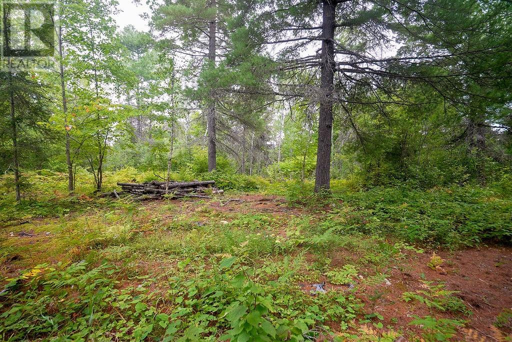 556 Lorne Falls Property Photo 7