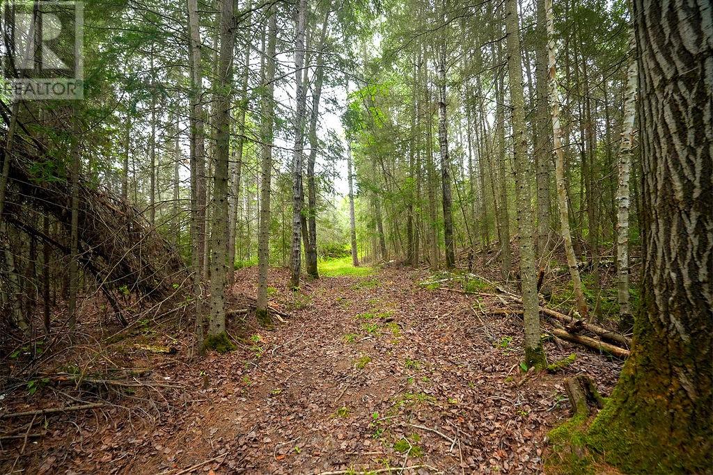 556 Lorne Falls Property Photo 8