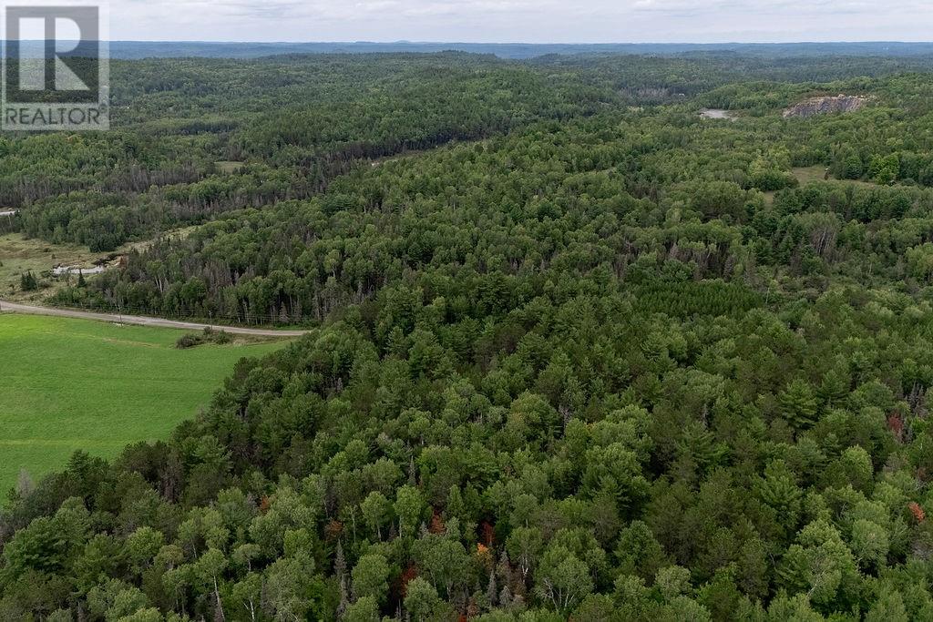 556 Lorne Falls Property Photo 10