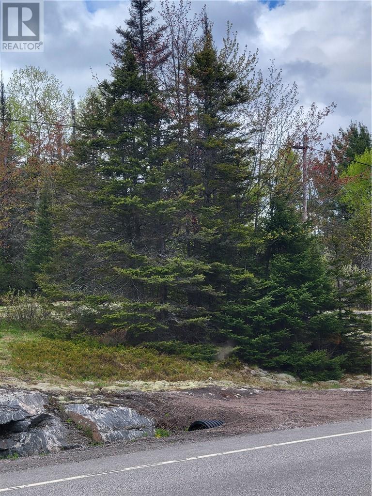 Lot 1 Hwy 535 Property Photo 5