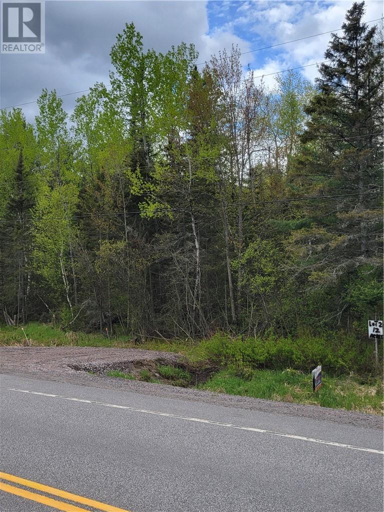 Lot 1 Hwy 535 Property Photo 8