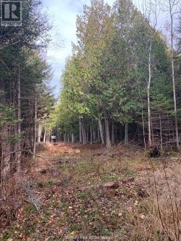 20751 Highway 6 Property Photo 10