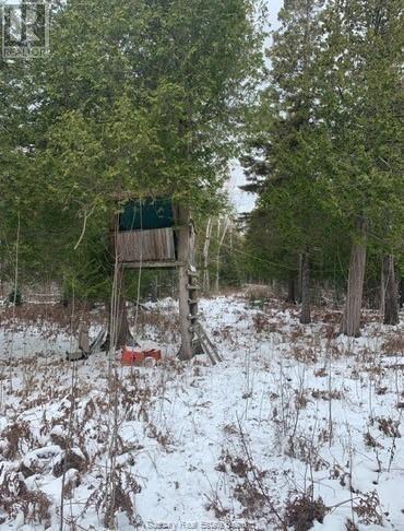 20751 Highway 6 Property Photo 11