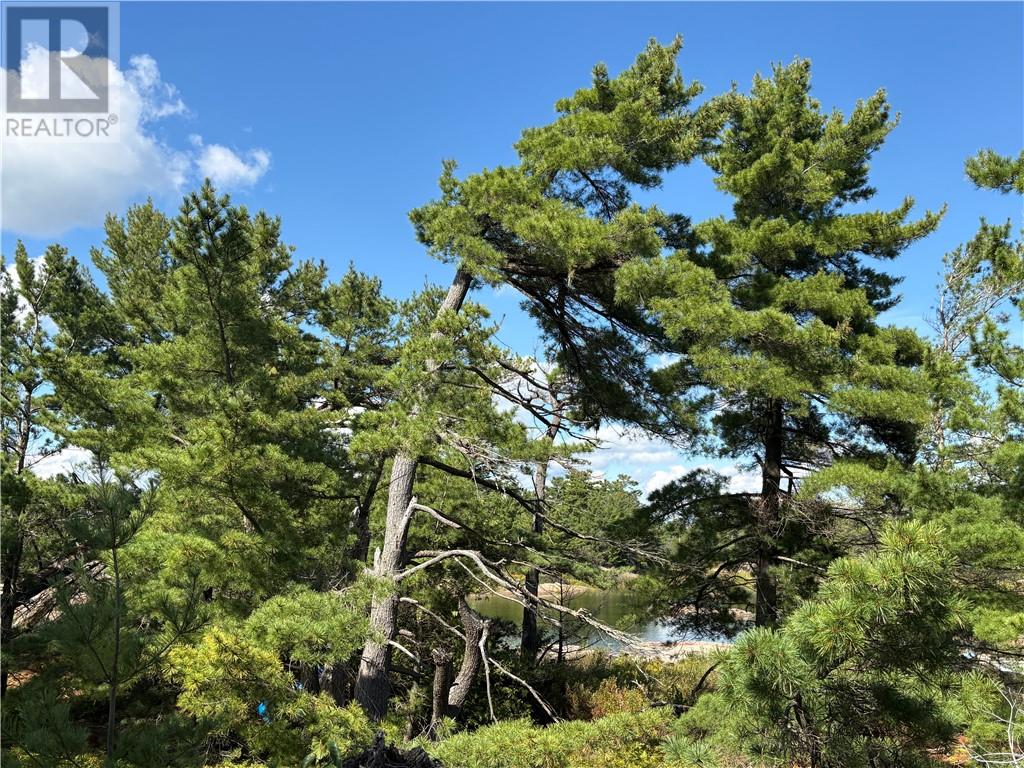 Kg1474 Georgian Bay Property Photo 14