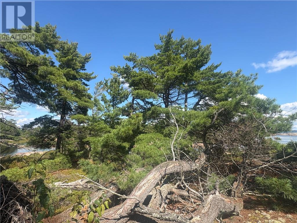 Kg1474 Georgian Bay Property Photo 15