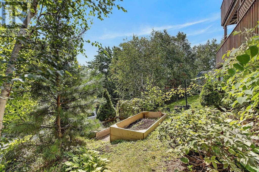 37 Timber Ridge Court Property Photo 17