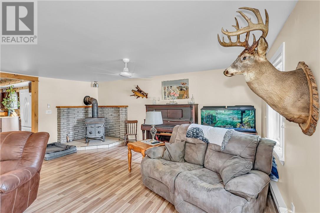 17 Campbell Street Property Photo 10