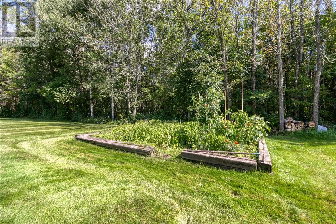 20 Hazel Street Property Photo 38