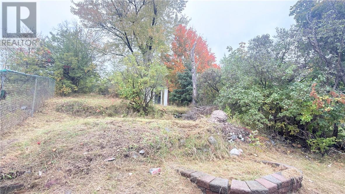 485 Lorne Street Property Photo 19