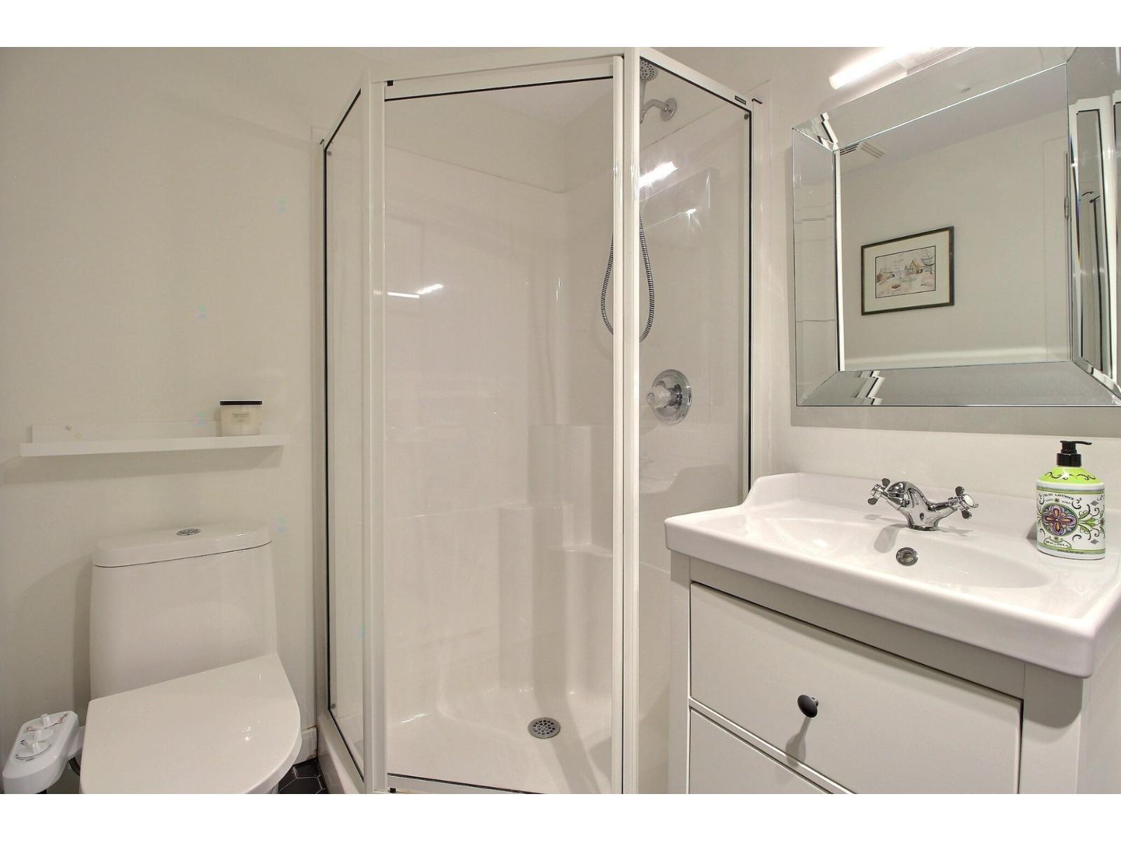 1315 Rue Notre-dame O., #507 Property Photo 27
