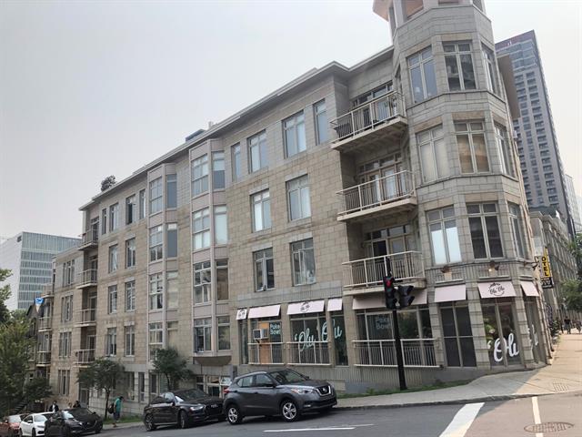 256 Rue Sherbrooke O., #302 Property Photo 3