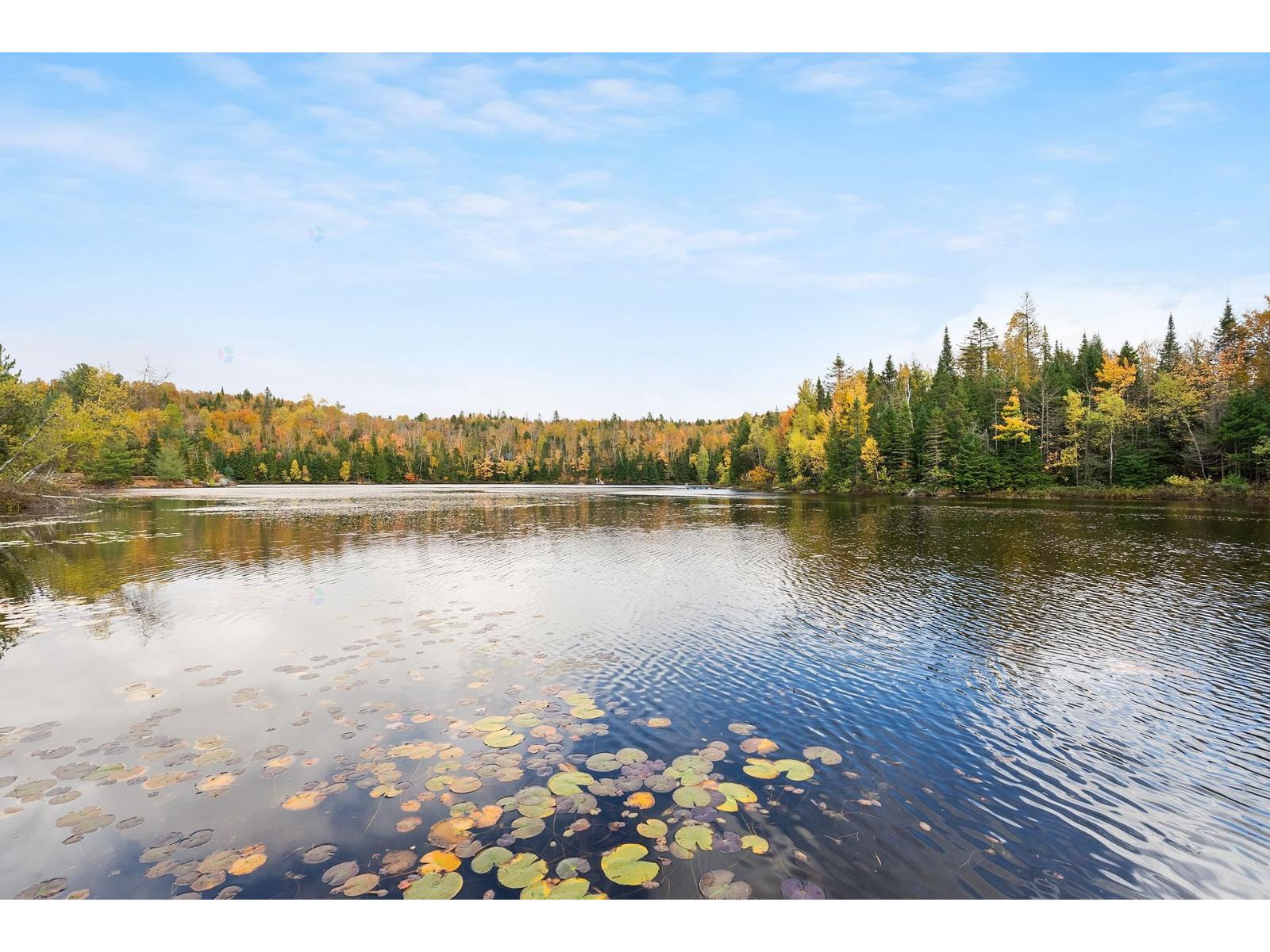4960 Ch. Du Lac-héroux Property Photo 46