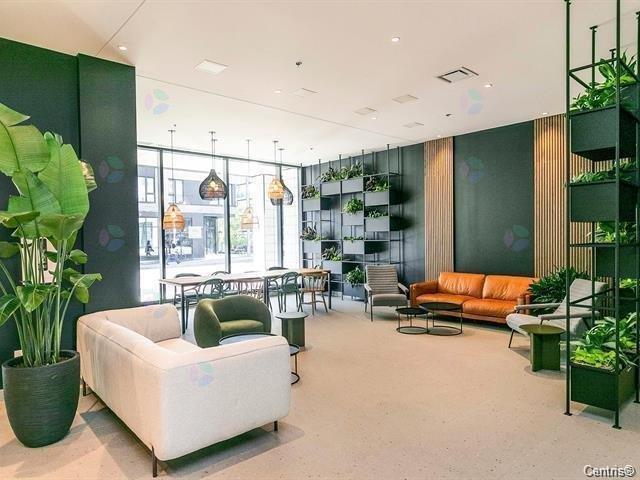 2180 Rue Ste-catherine E., #332 Property Photo 3