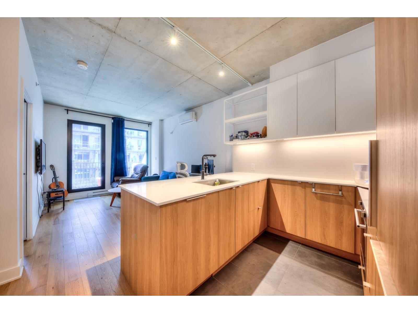 2180 Rue Ste-catherine E., #332 Property Photo 9
