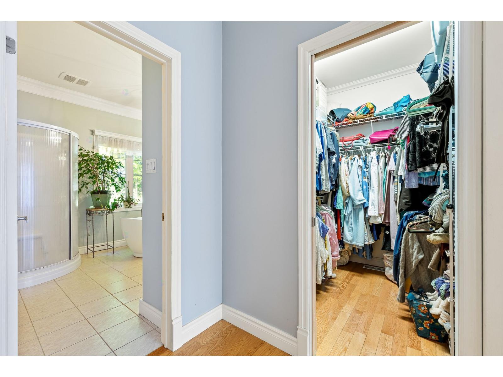 56 Rue De Lausanne Property Photo 23