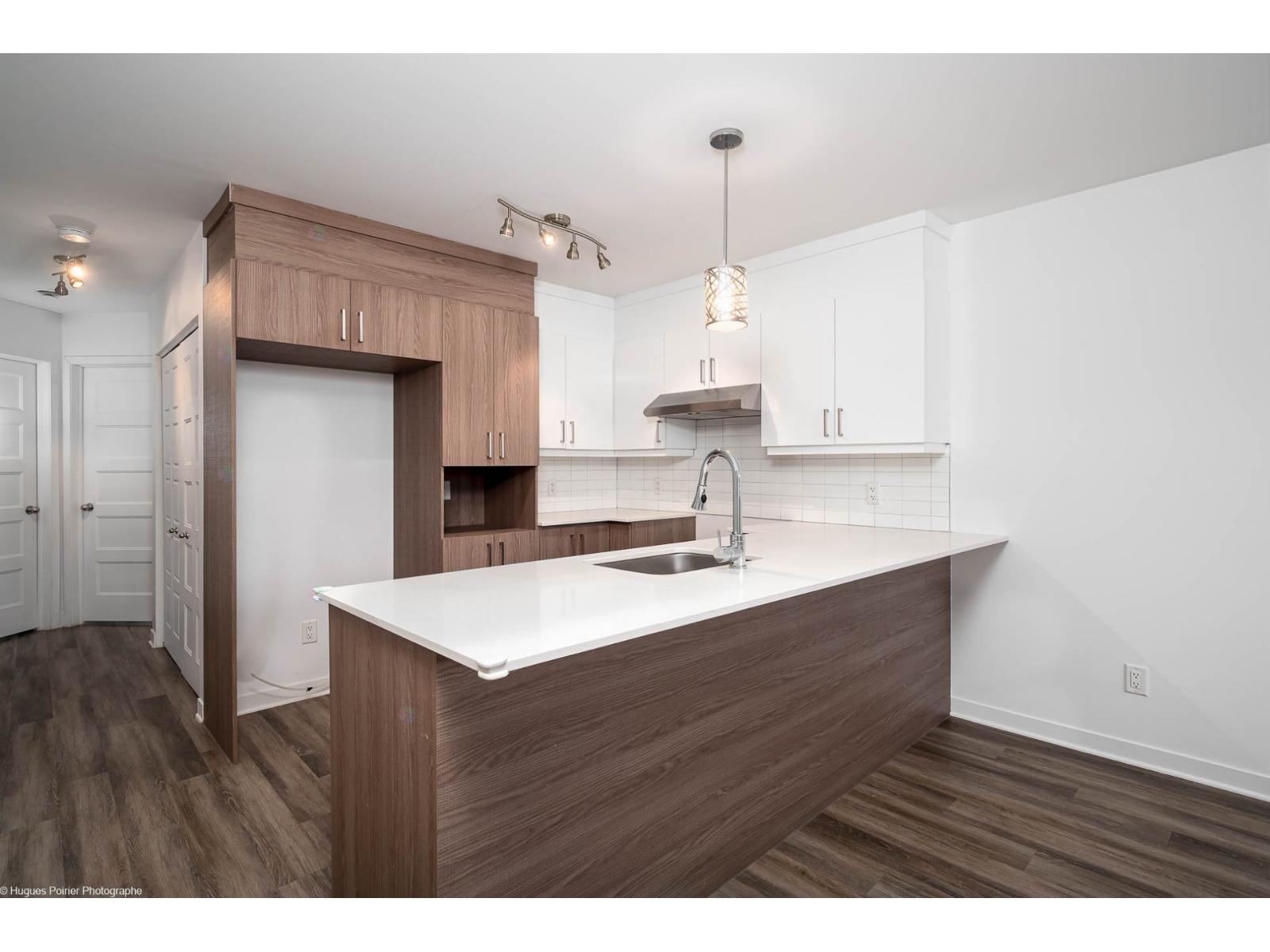 1151 Rue Du Grand-pic Property Photo 2