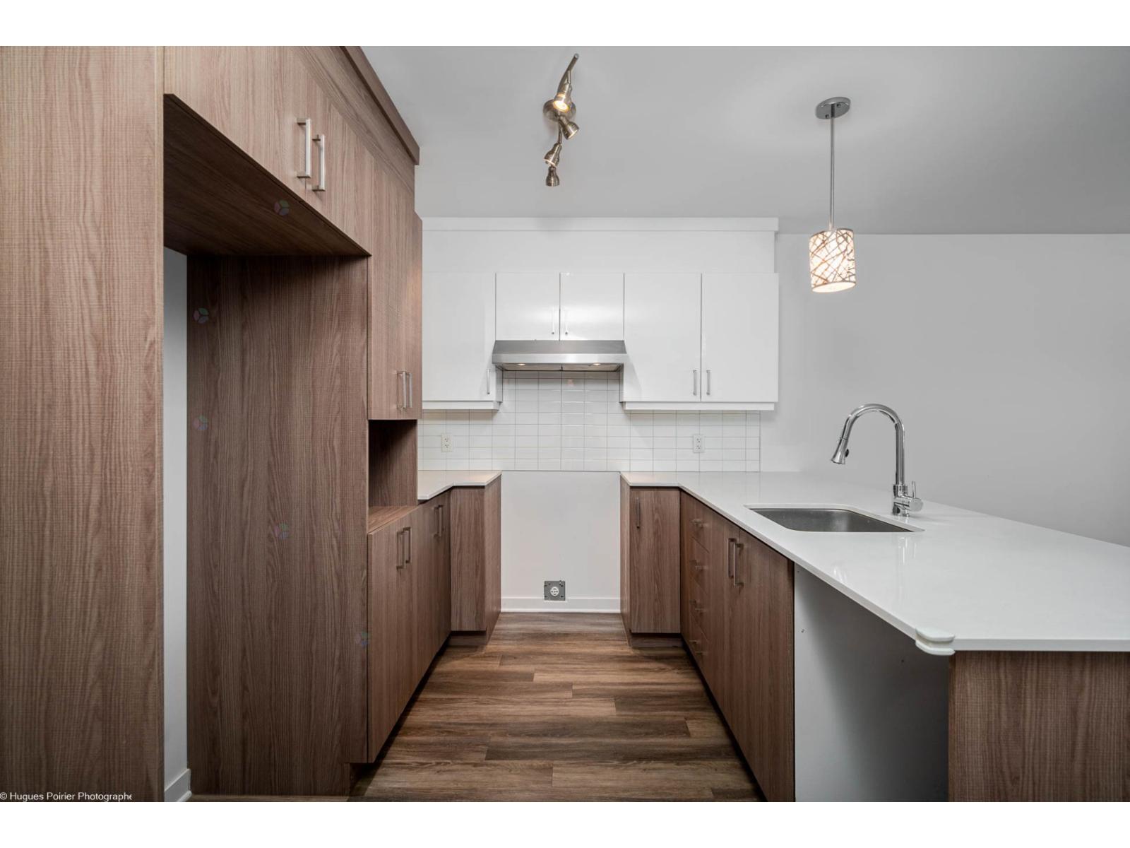 1151 Rue Du Grand-pic Property Photo 3