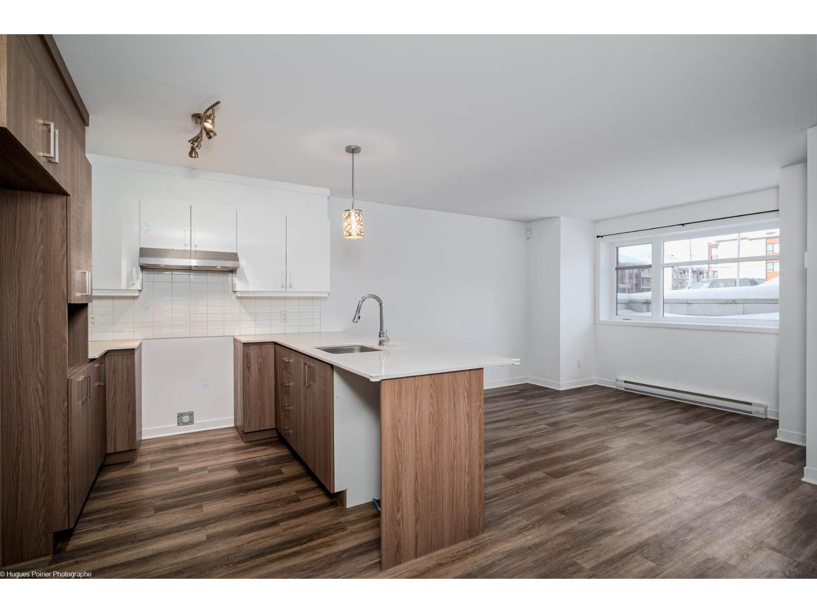 1151 Rue Du Grand-pic Property Photo 4