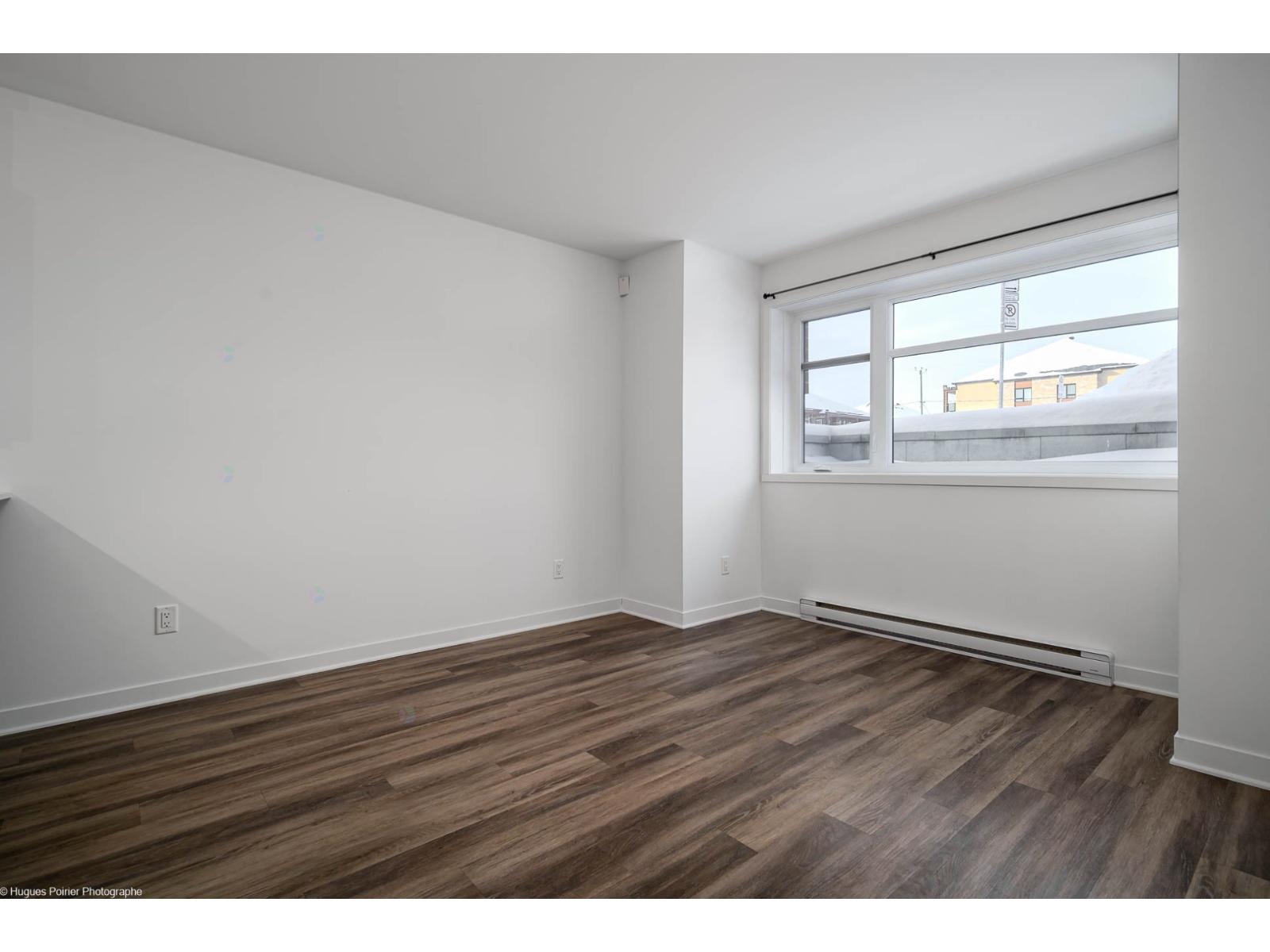1151 Rue Du Grand-pic Property Photo 7