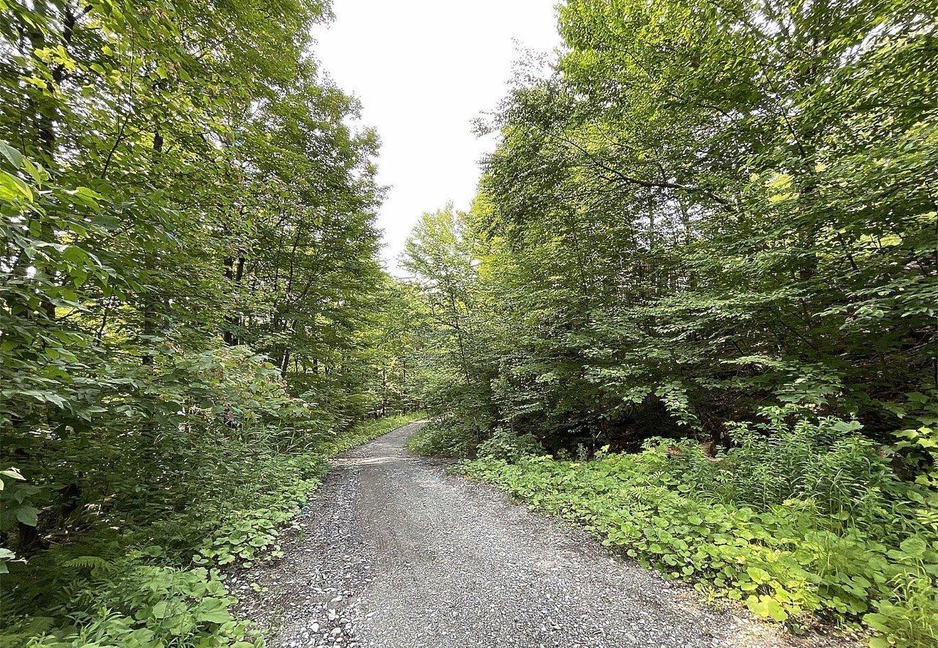 11 Rue Picotte Property Photo 21
