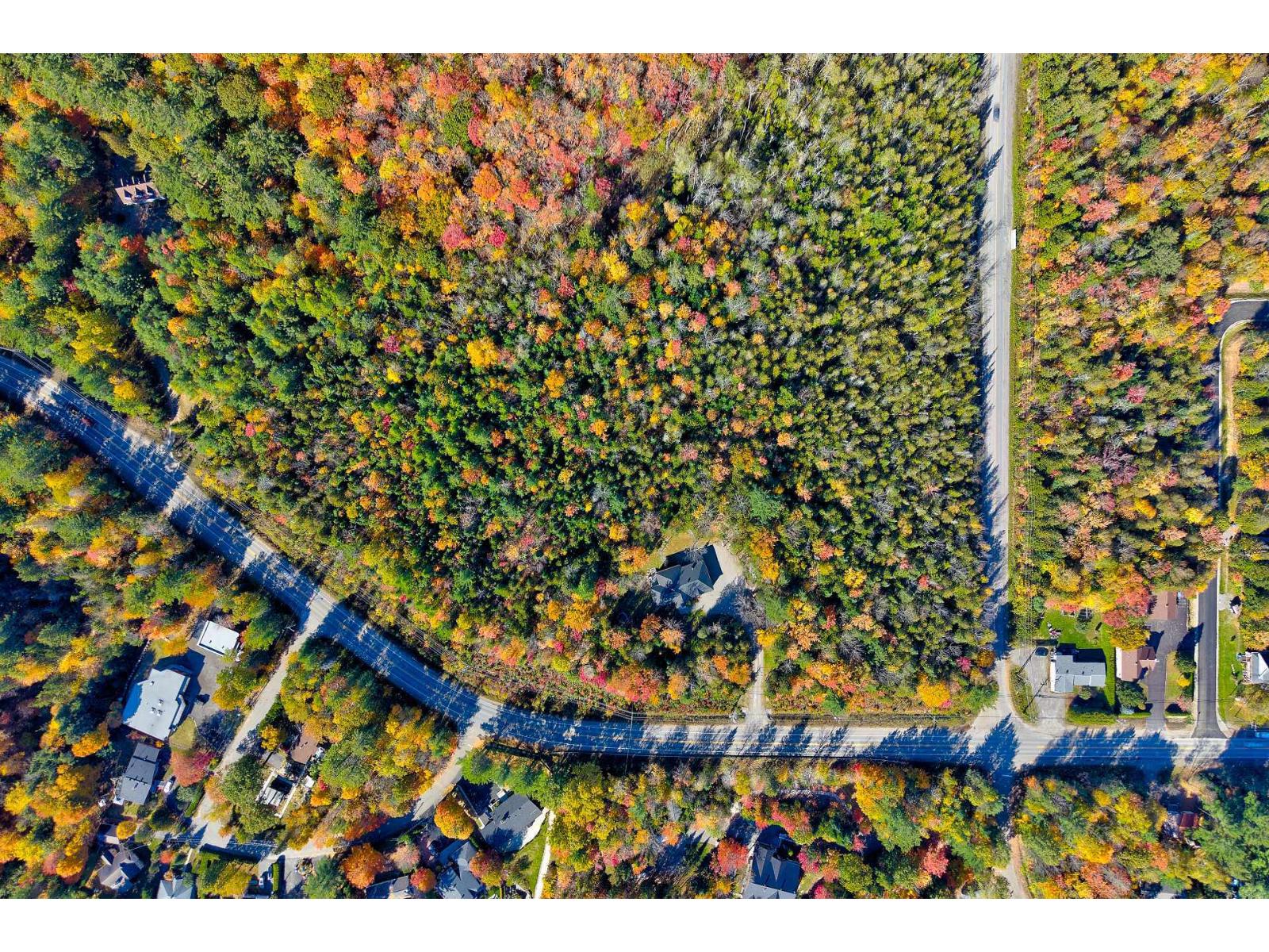 4572 Boul. Pontbriand Property Photo 53