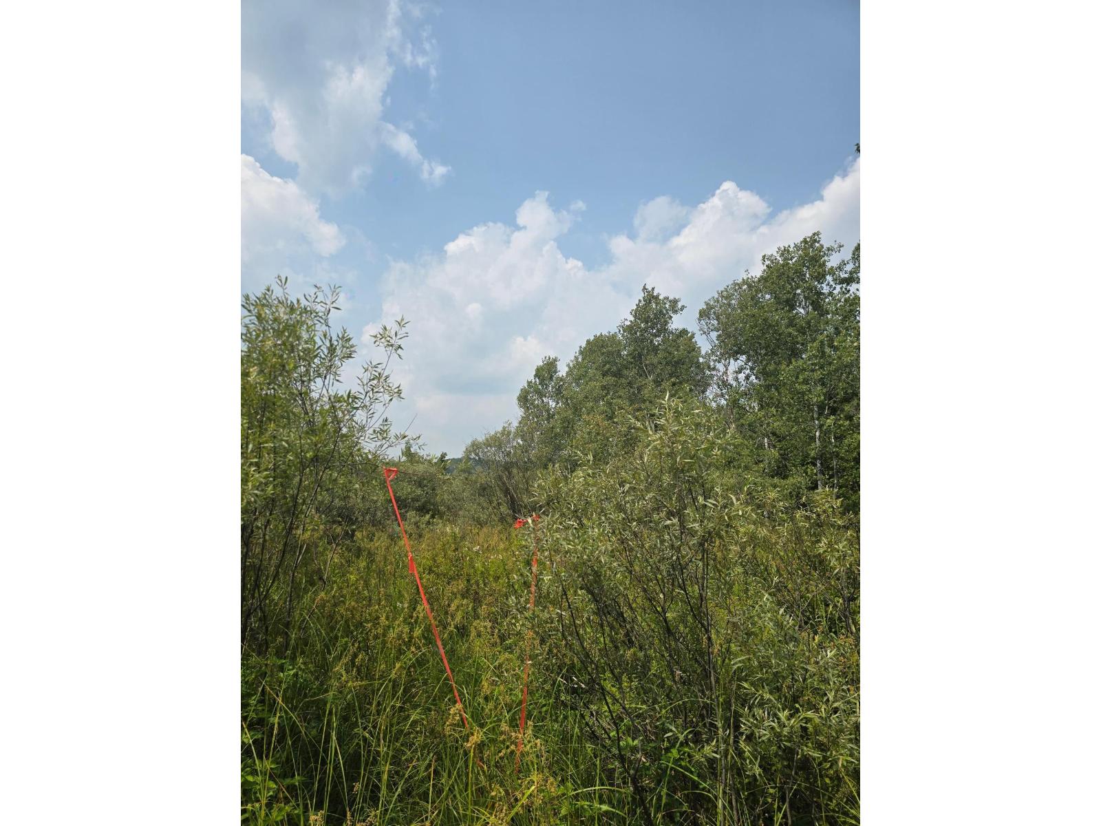 Ch. Leduc Property Photo 14