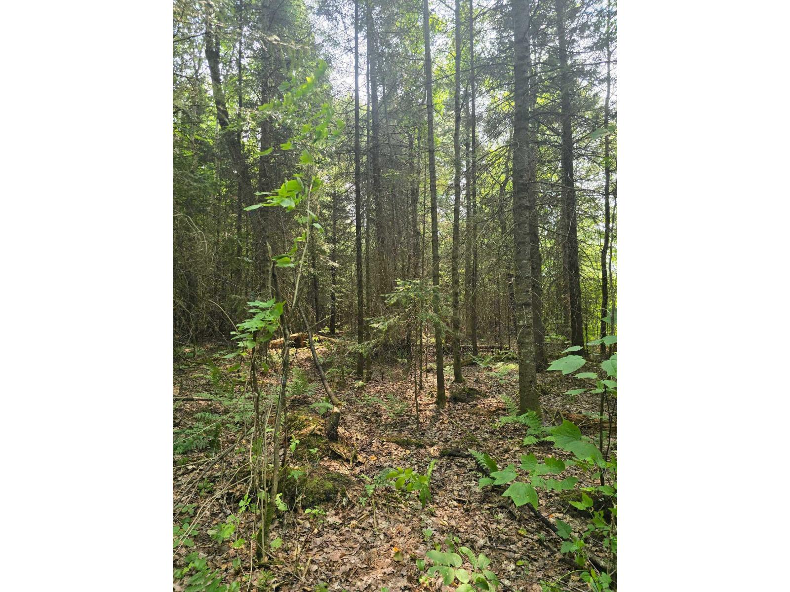 Ch. Leduc Property Photo 15