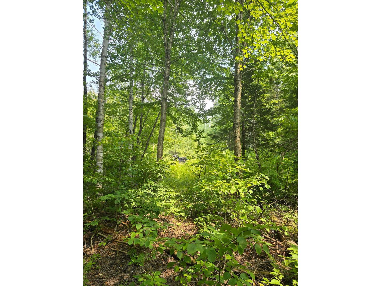 Ch. Leduc Property Photo 16