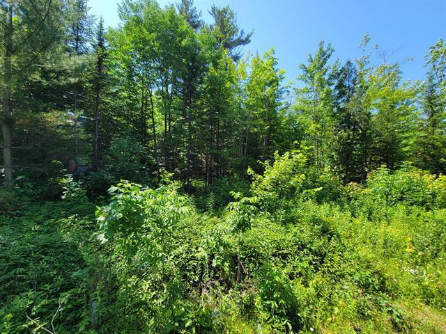 Route 337 Property Photo 8