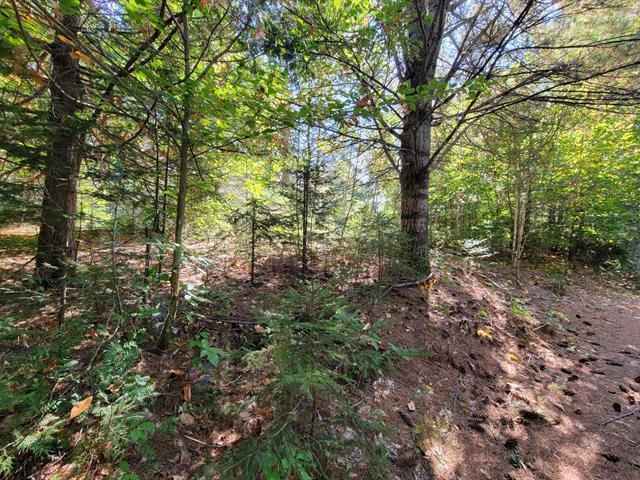 Route 337 Property Photo 10