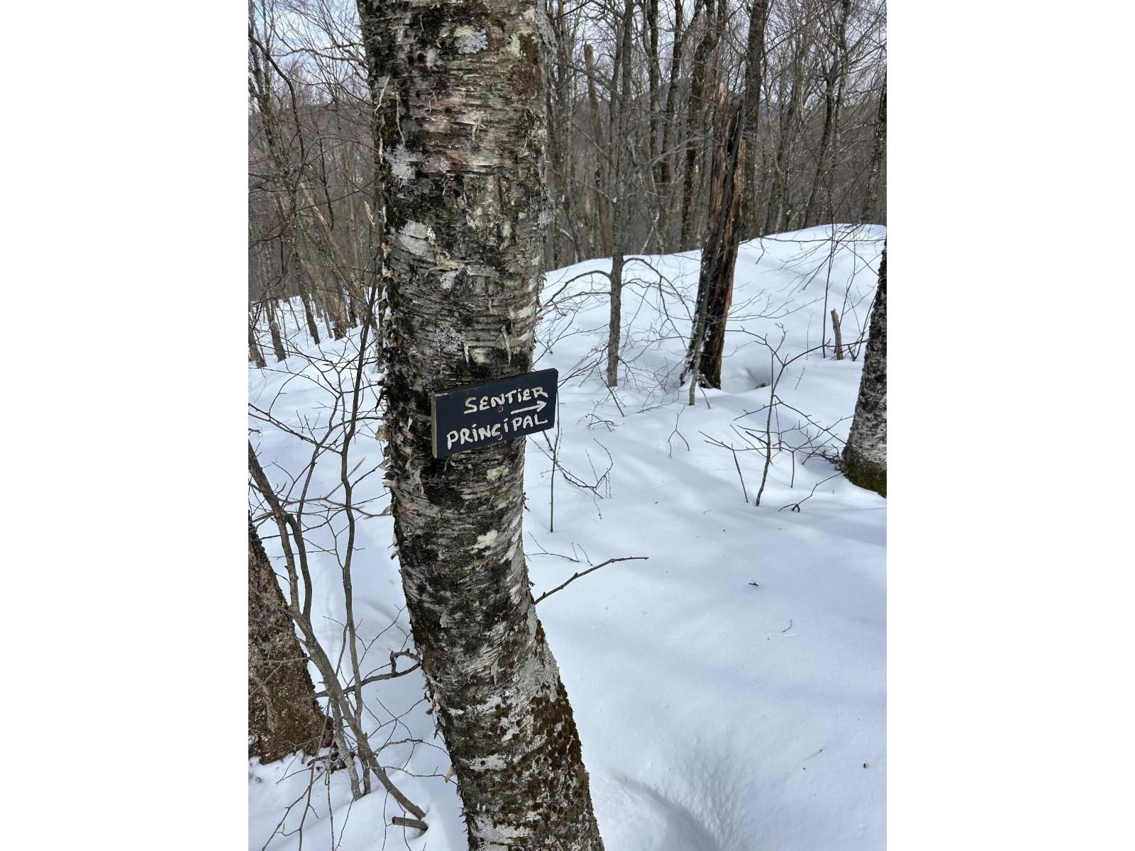 131 Ch. Des Montagnes-vertes Property Photo 46