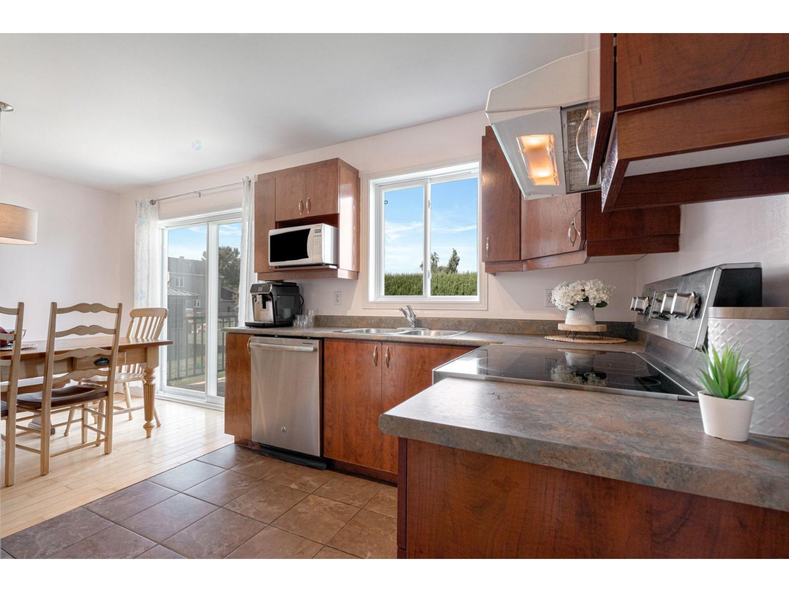 151 Rue Bissonnette Property Photo 14
