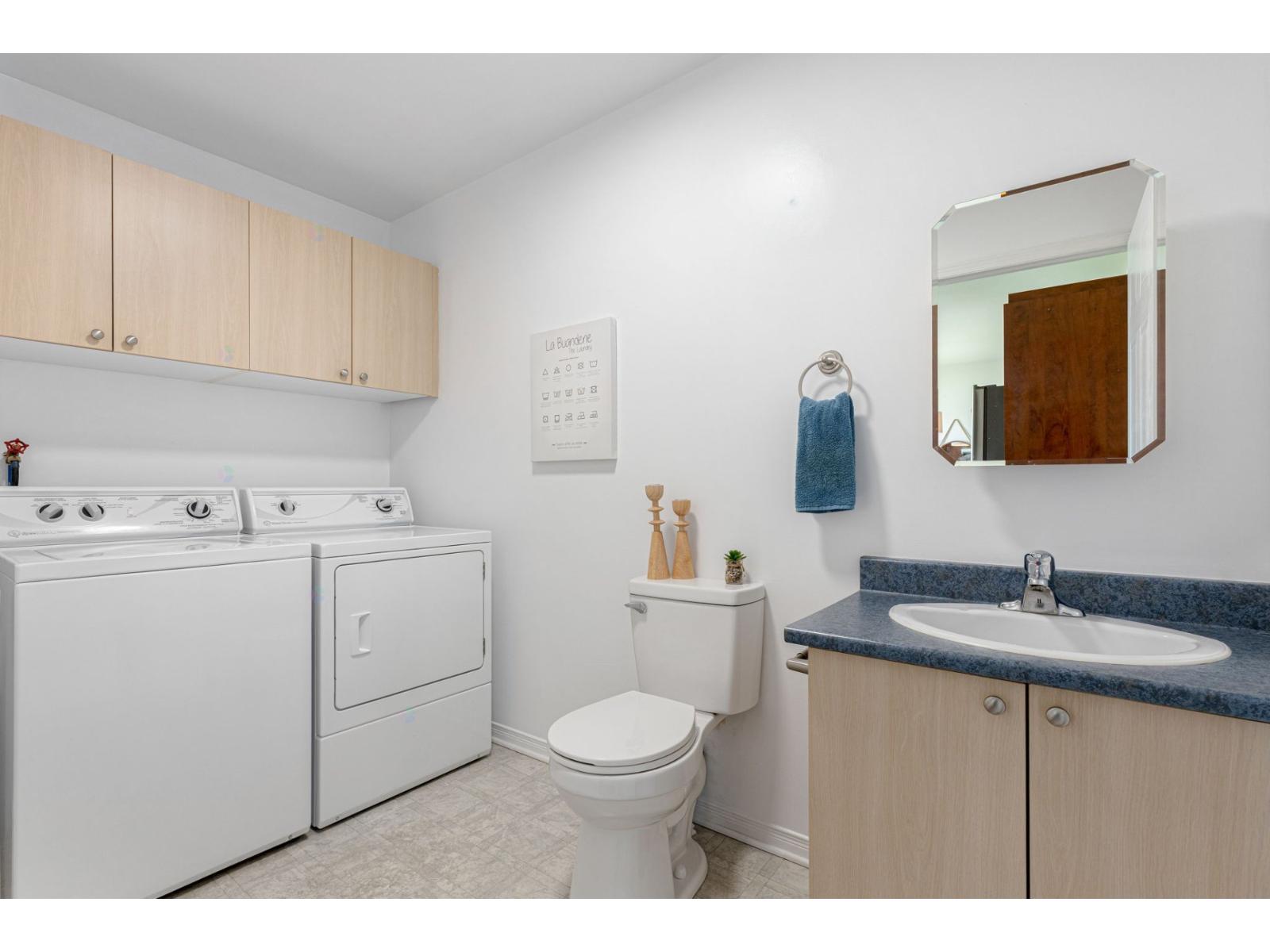 151 Rue Bissonnette Property Photo 17