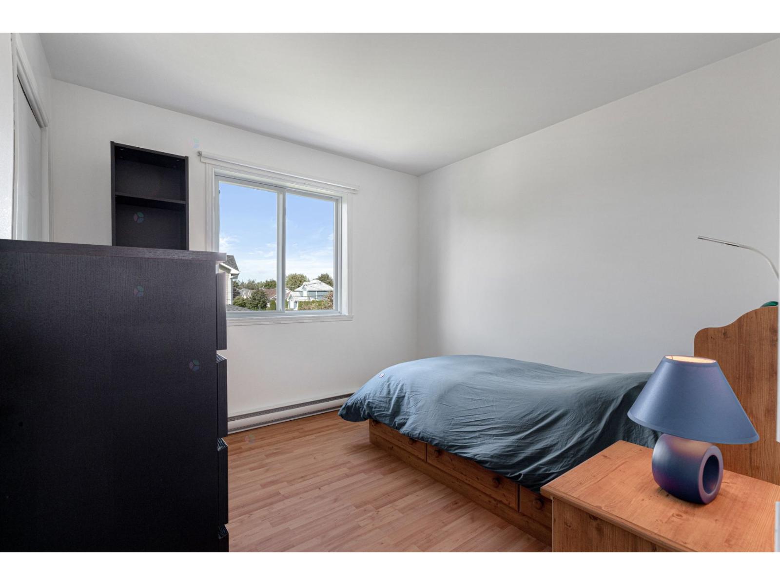 151 Rue Bissonnette Property Photo 19