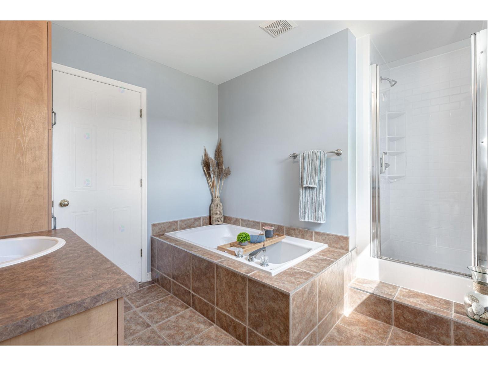 151 Rue Bissonnette Property Photo 25
