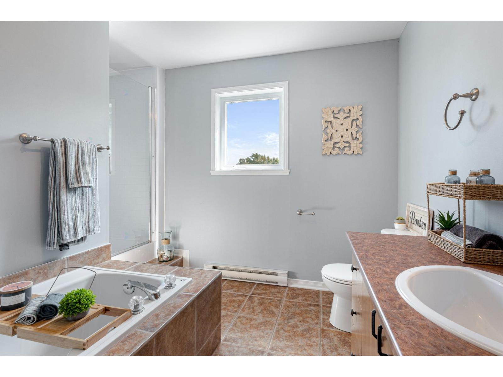 151 Rue Bissonnette Property Photo 27