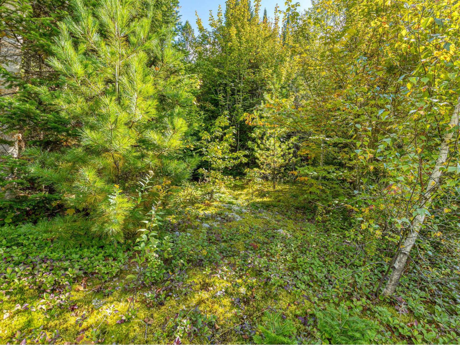 Rue Du Moulin Property Photo 9