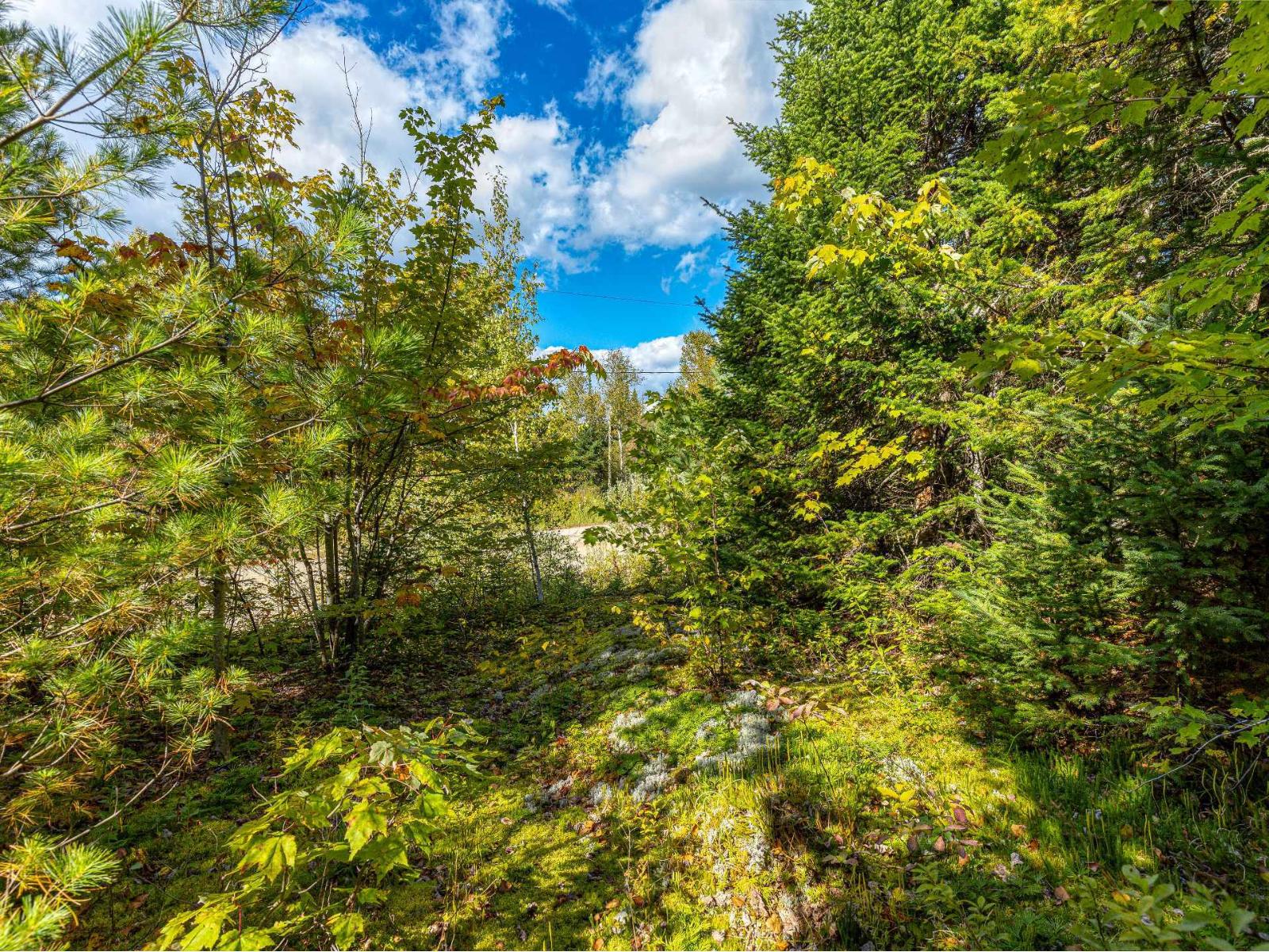 Rue Du Moulin Property Photo 10